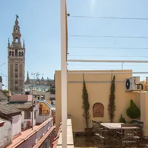 Botanic Duplex Terrace 5 Pax , Seville Spain